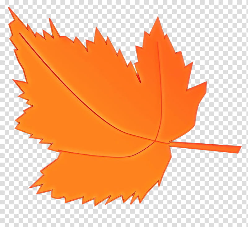 Maple leaf, Cartoon, Orange, Tree, Woody Plant, Plane, Deciduous transparent background PNG clipart