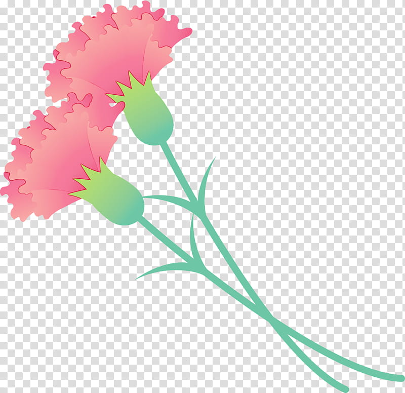 flower pink plant pedicel cut flowers, Mothers Day Carnation, Mothers Day Flower, Watercolor, Paint, Wet Ink, Plant Stem, Pink Family transparent background PNG clipart