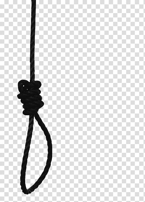 black rope tied into a knot transparent background PNG clipart