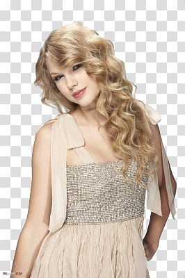 Request Taylor and Demi transparent background PNG clipart