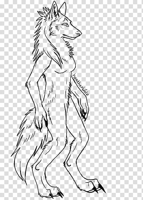 Free werewolf lineart, black wolf sketch transparent background PNG clipart