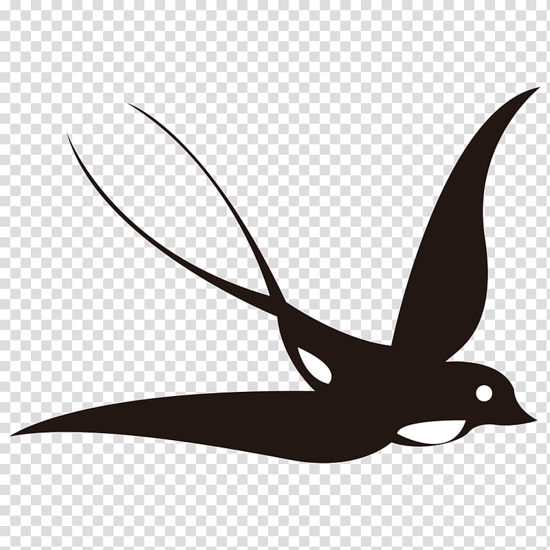 Bird Line Drawing, Swallow, Silhouette, Peafowl, Spring
, Logo, Black And White
, Beak transparent background PNG clipart
