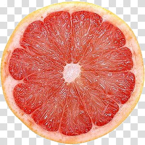 Be my love KIT, sliced grapefruit transparent background PNG clipart