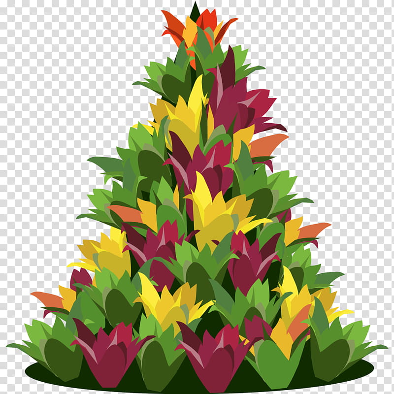 Christmas Tree Drawing, Christmas Day, Leaf, Floral Design, Bromeliads, Leaf Spot, Plant, Aquarium Decor transparent background PNG clipart