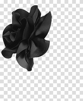 Flores, black flower art transparent background PNG clipart