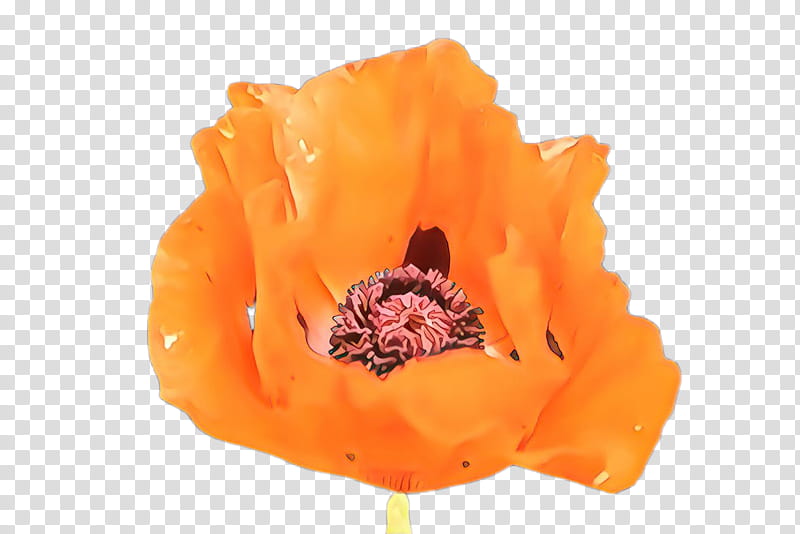 Poppy Flower, Cartoon, Email, Week, Alternative Rock, Music, Mailing List, Television Show transparent background PNG clipart