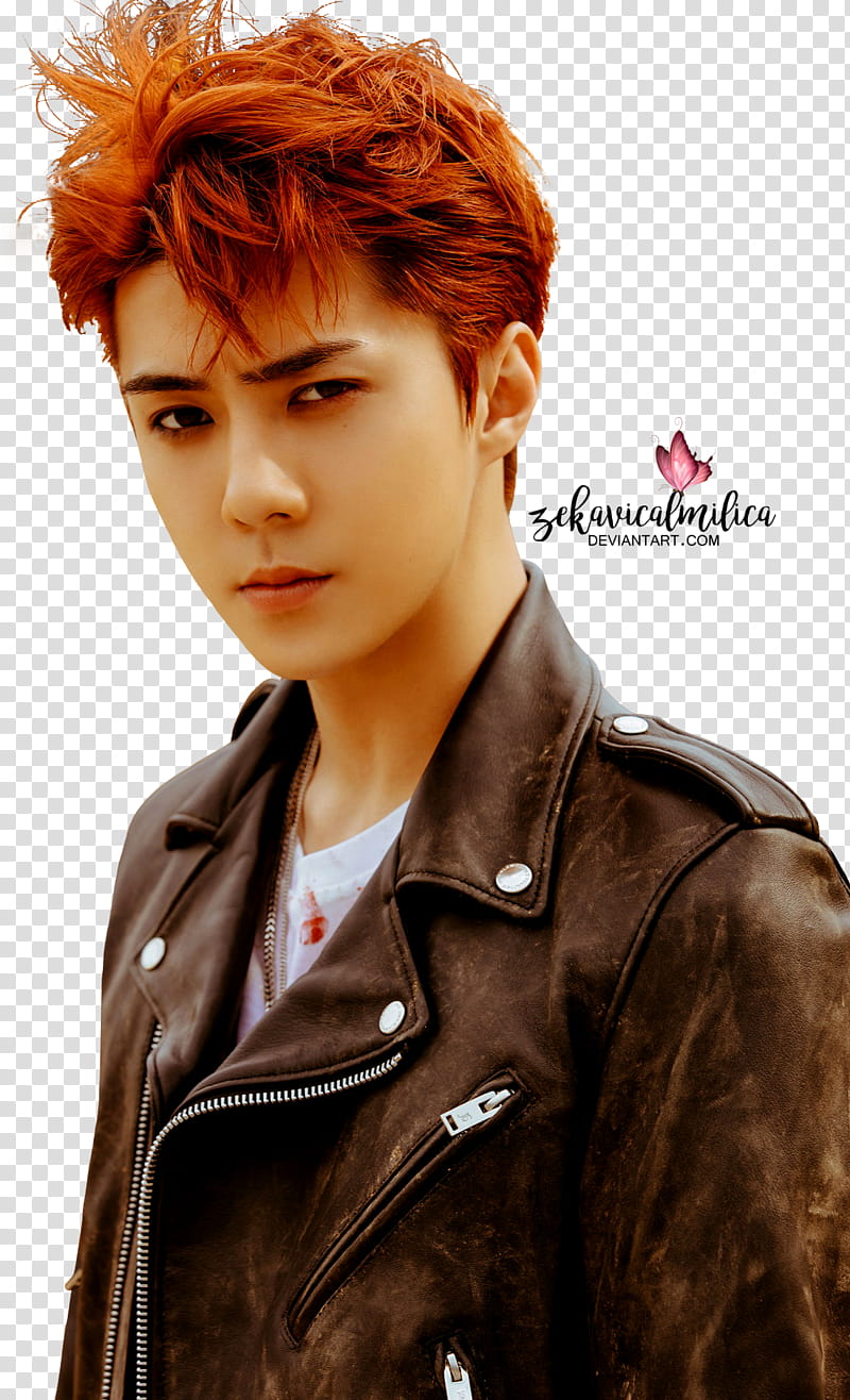 EXO Sehun Don t Mess Up My Tempo, man wearing black leather motorcycle jacket looking fierce transparent background PNG clipart