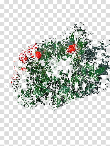 Distorted Flowers transparent background PNG clipart