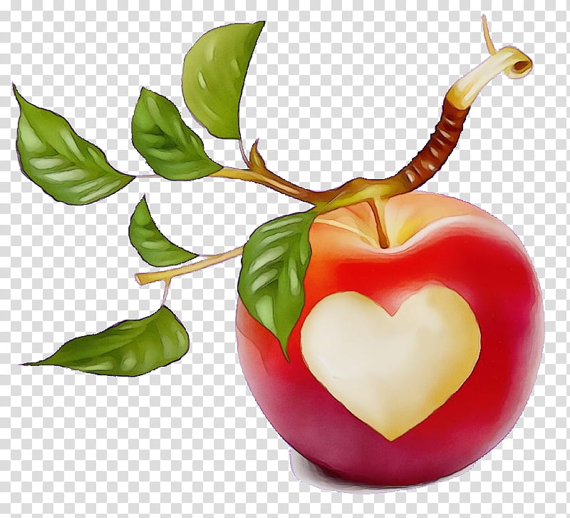 fruit natural foods plant leaf food, Watercolor, Paint, Wet Ink, Tree, Apple, Heart transparent background PNG clipart