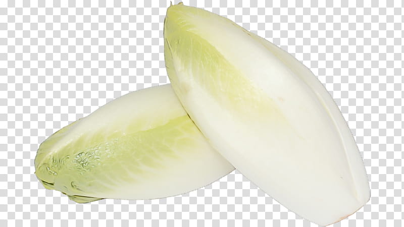 vegetable food plant endive, Watercolor, Paint, Wet Ink transparent background PNG clipart