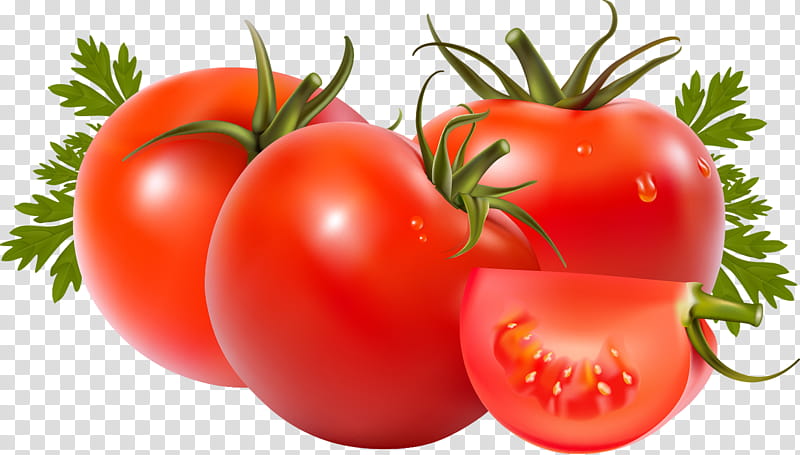 Tomato, Tomato Soup, Tomato Juice, Roma Tomato, Can, Tomato Sauce, Tomato Paste, Plum Tomato transparent background PNG clipart