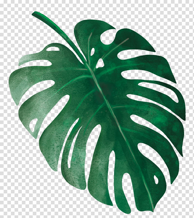 Green Leaf, Tropical Rainforest, Plants, Silhouette, Art Museum transparent background PNG clipart
