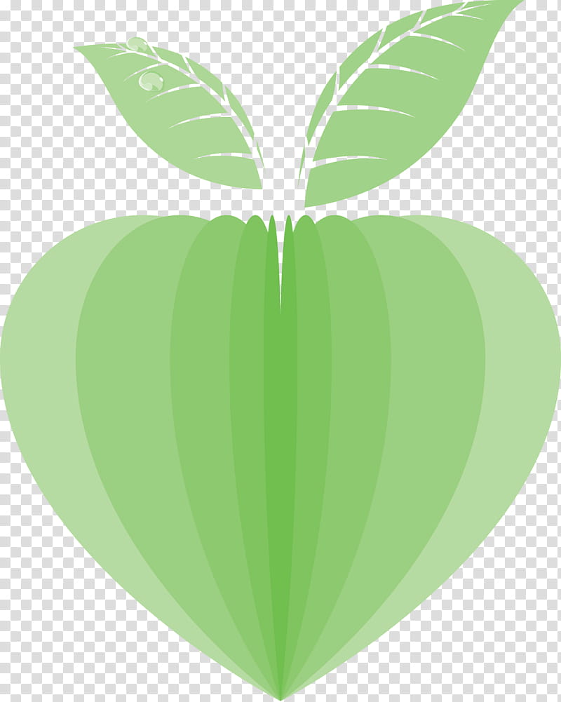 Geometric Shape, Leaf, Green, Carambola, Romance, Plant, Plant Stem transparent background PNG clipart