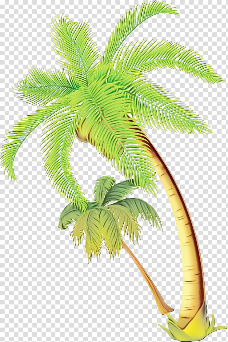 Coconut Tree Drawing, Watercolor, Paint, Wet Ink, Palm Trees, Fruit, Blue Raspberry Flavor, transparent background PNG clipart