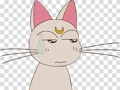 Artemis Sailor Moon, white cat illustration transparent background PNG clipart