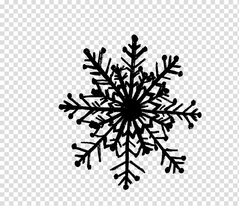 Snowflake, Drawing, Visual Arts, Ornament, Shape, Plant, Blackandwhite, Symmetry transparent background PNG clipart