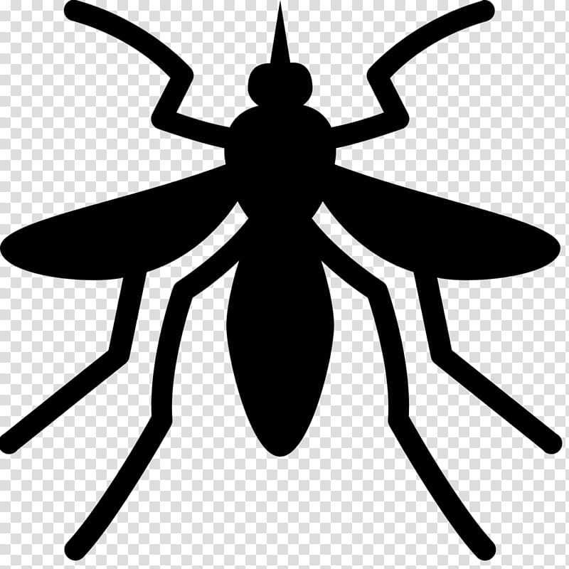 Yellow Fever Insect, Yellow Fever Mosquito, Mosquitoborne Disease, Yellow Fever Virus, Mosquito Control, Aedes, Pest, Wing transparent background PNG clipart