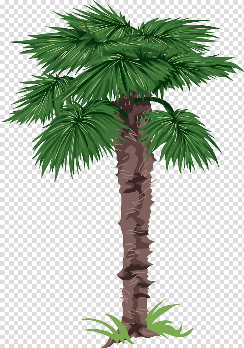 Featured image of post Easy Date Palm Tree Drawing - These are just curved lines.