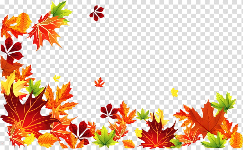 Cartoon Nature, Maple Leaf, Autumn, Roman Shade, Floral Design, Petal, Plant, Tree transparent background PNG clipart