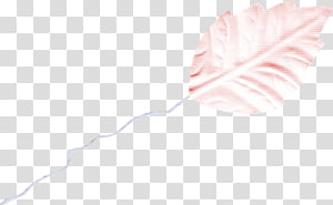 pink leaf illustration transparent background PNG clipart thumbnail