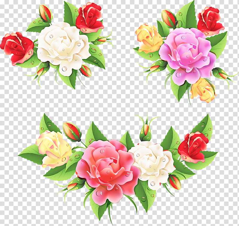 Rose, Flower, Flowering Plant, Pink, Cut Flowers, Petal, Camellia, Japanese Camellia transparent background PNG clipart