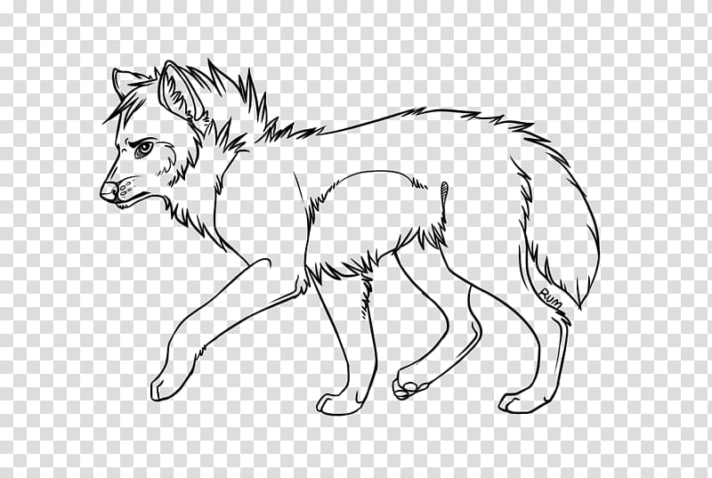 Free line art, black wolf illustration transparent background PNG clipart