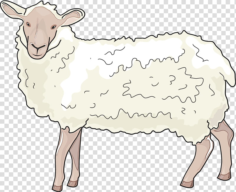 Goat, Sheep, Barbary Sheep, Cattle, Ox, Bovidae, Wildlife, Animal transparent background PNG clipart