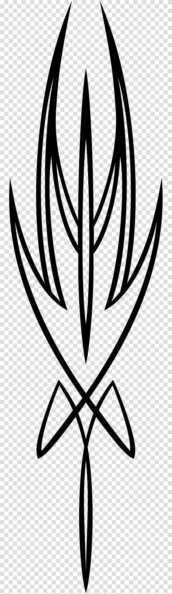 Black And White Flower, Leaf, Line, Symmetry, Line Art, Tree, Design M Group, Black And White transparent background PNG clipart