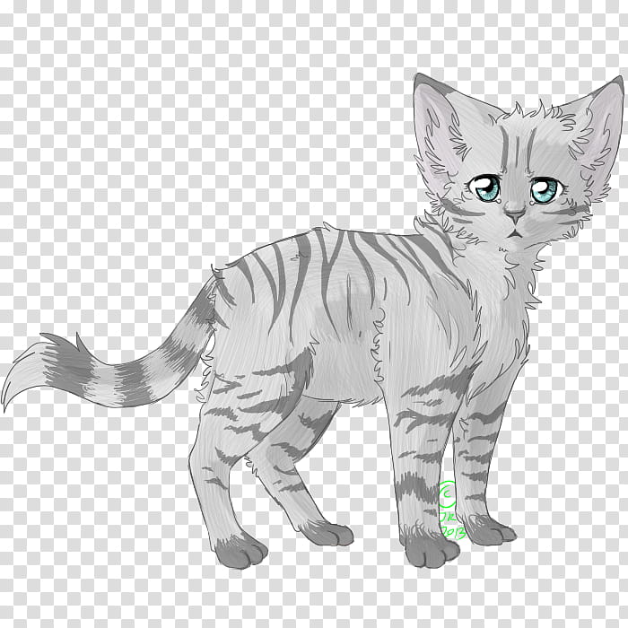 Cat, American Shorthair, American Wirehair, Whiskers, Wildcat, Paw, Animal, Tail transparent background PNG clipart