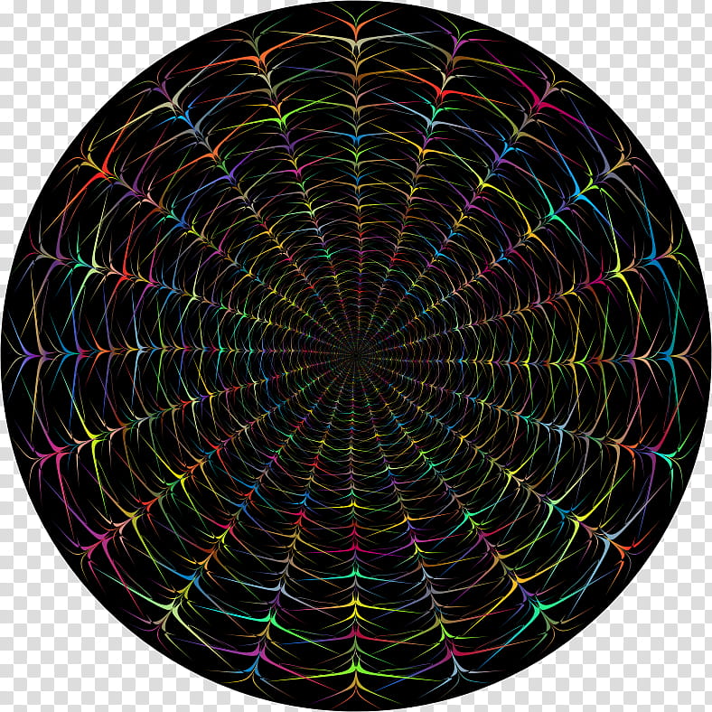 Spider Web, Arachne, Circle, Spiral, Tree, Dart, Symmetry transparent background PNG clipart