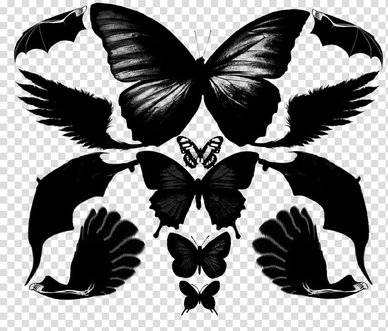 Oh Interesting, Wings Made Out of More Wings. transparent background PNG clipart