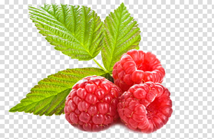 Indian Food, Raspberry, Berries, Tart, Red Raspberry, Balsamic Vinegar, Sorbet, Flavor transparent background PNG clipart