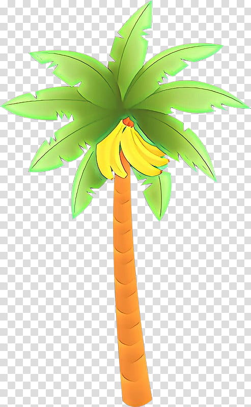 Palm Tree, Palm Trees, Presentation, Report, Microsoft PowerPoint, Project, Banana, Leaf transparent background PNG clipart