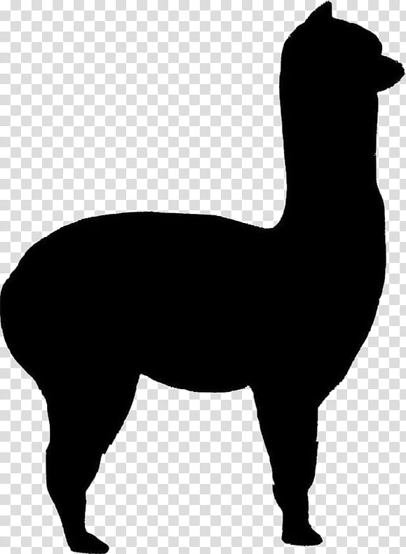 Llama, Alpaca, Silhouette, Alpaca Fiber, Cria, Drawing, Advertising, Camelid transparent background PNG clipart