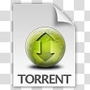 Torrent Icons, Torrent Document , white and green Torrent file illustration transparent background PNG clipart