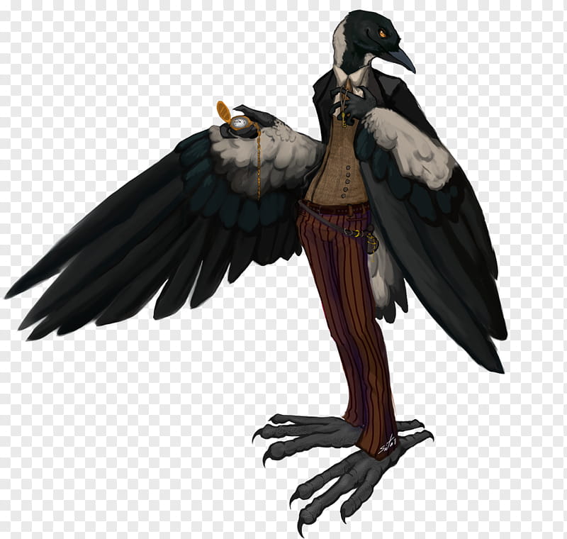 The Hooded Crow, black bird character illustration transparent background PNG clipart
