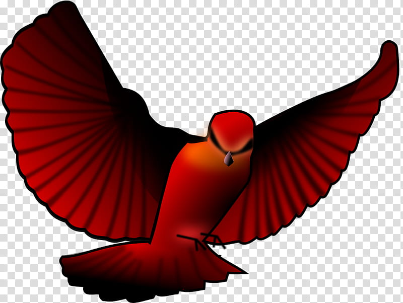 free clipart cardinal with wing spread