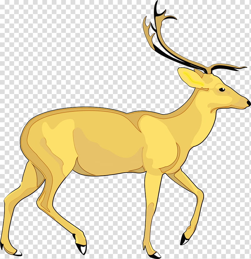 Drawing Of Family, Deer, Reindeer, Moose, Antler, Mule Deer, Wildlife, Antelope transparent background PNG clipart