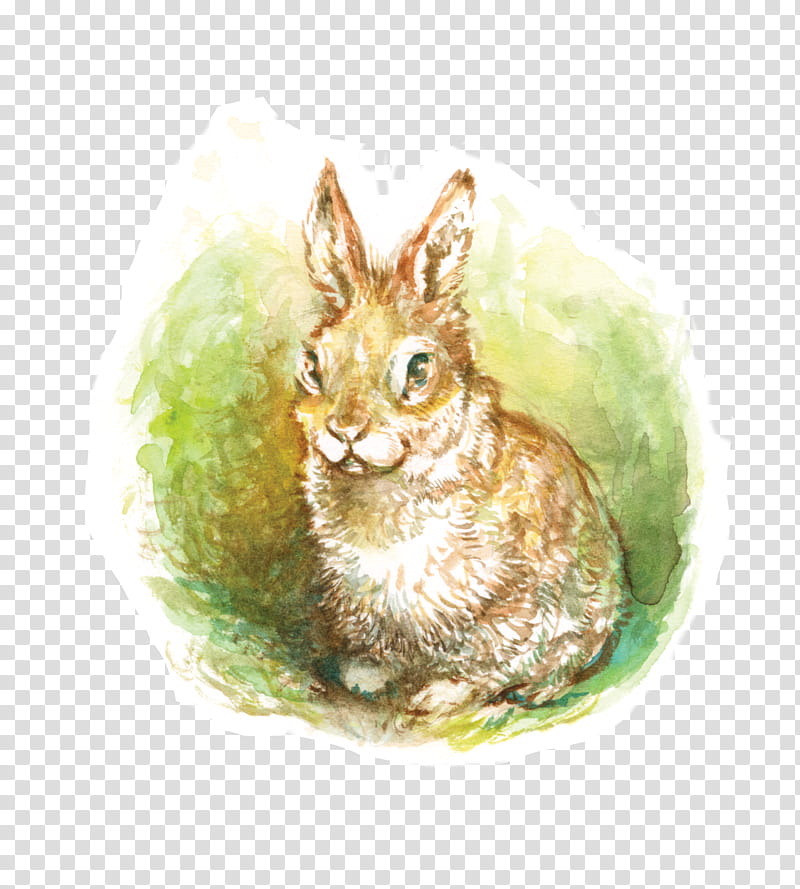 Watercolor Animal, Watercolor Painting, Rabbit, Hare, Watercolor Animals, Pet, Atlas Games, Mountain Cottontail transparent background PNG clipart