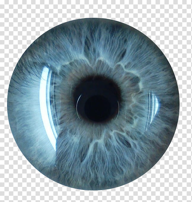 Eye Lenses, white eyeball illustration transparent background PNG clipart