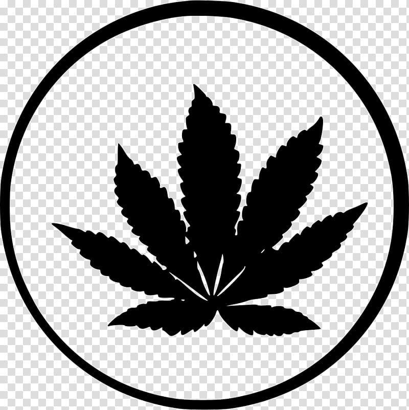 Family Tree, Cannabis Ruderalis, Cannabis Sativa, Cannabis Cultivation, Kush, Medical Cannabis, Hashish, Hemp transparent background PNG clipart