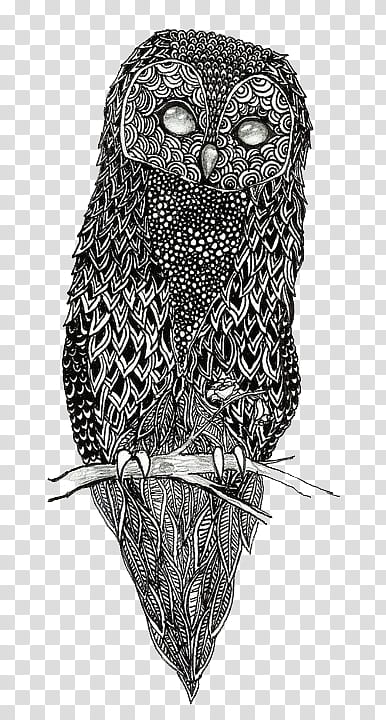 Miscellaneous S Black And Gray Owl Graphic Transparent
