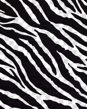 Animal Print, zebra tetxile transparent background PNG clipart