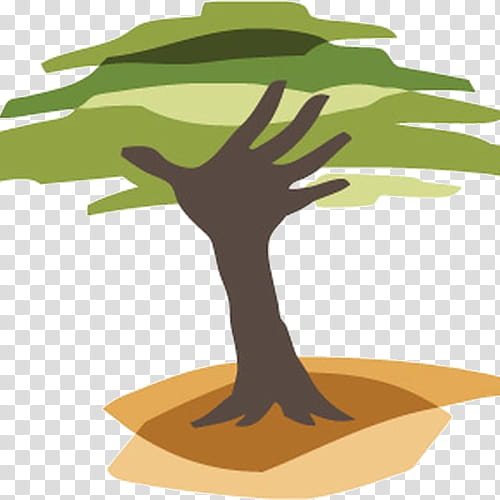 Tree Branch Silhouette, Eden Reforestation Projects, Tree Planting, Forest Restoration, Deforestation, Organization, Glendora, Poverty transparent background PNG clipart