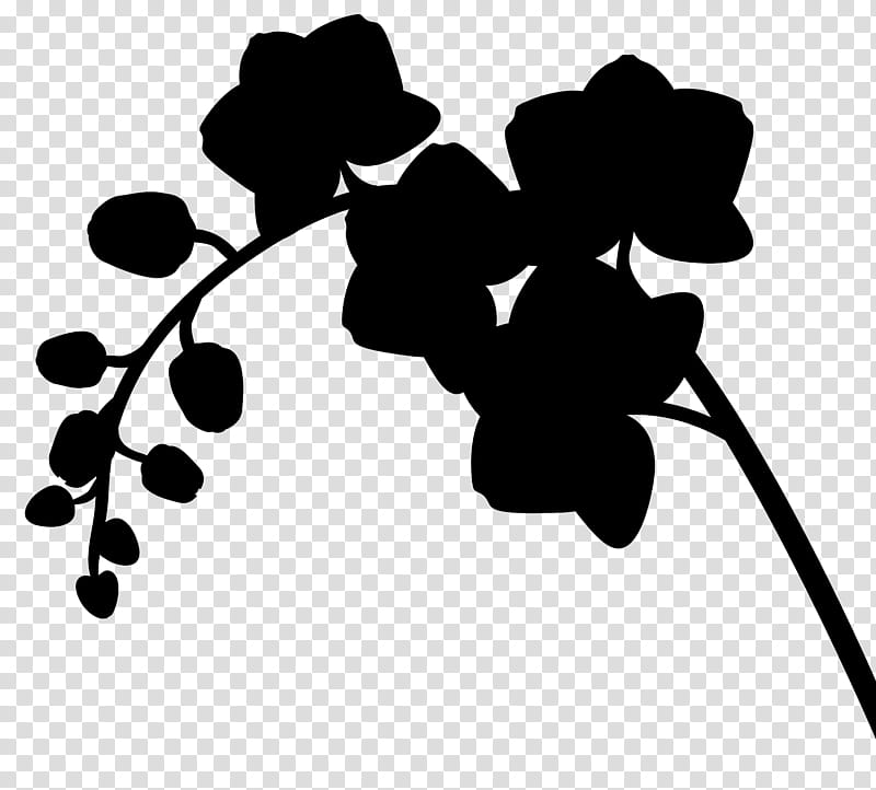 Family Tree Silhouette, Flower, Line, Leaf, Plants, Black M, Blackandwhite, Branch transparent background PNG clipart