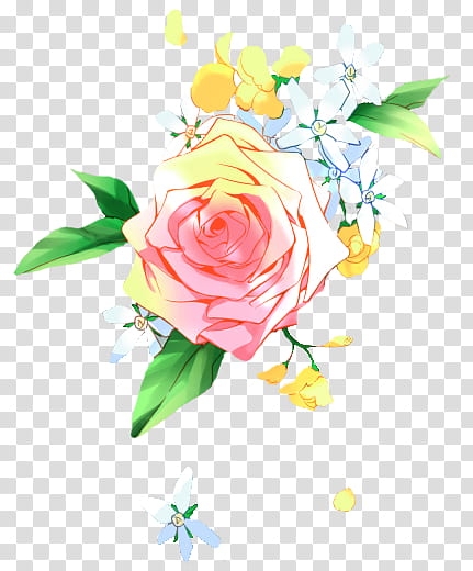 pink and yellow rose transparent background PNG clipart