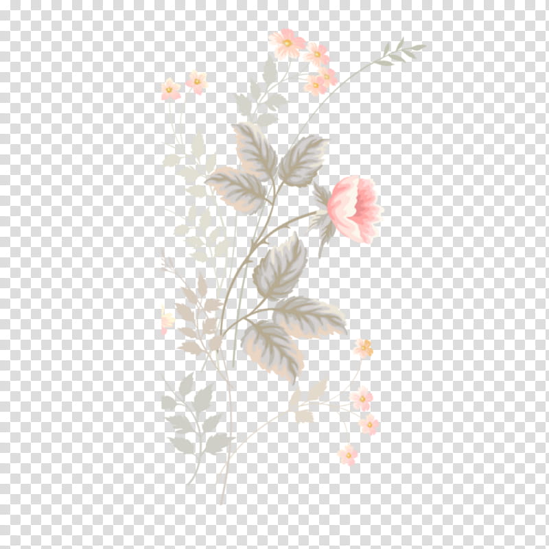 Rose Flower Drawing, Floral Design, Watercolor Painting, Pastel, Paper, Pink, Plant, Branch transparent background PNG clipart