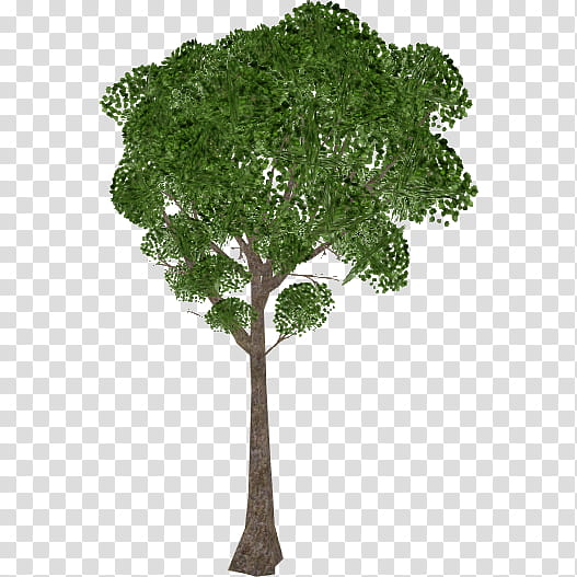 Green Grass, Tree, Nearly Natural, Topiary, Branch, Trunk, Artificial Tree, Plants transparent background PNG clipart