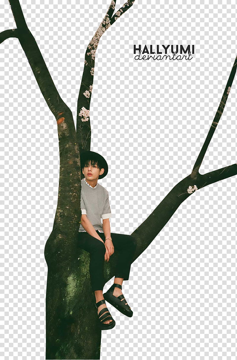 BTS HYYH pt , man sitting on tree transparent background PNG clipart