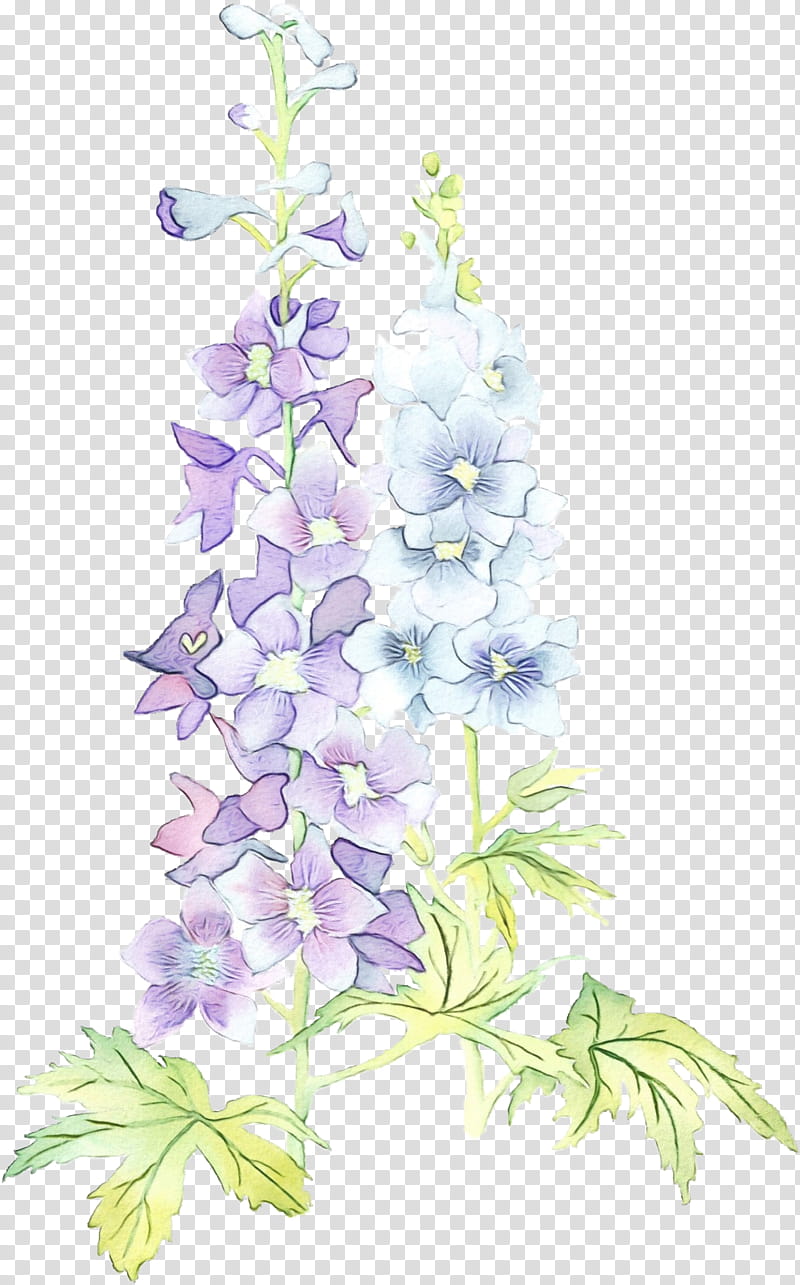 Lavender, Watercolor, Paint, Wet Ink, Flower, Plant, Lilac, Delphinium transparent background PNG clipart